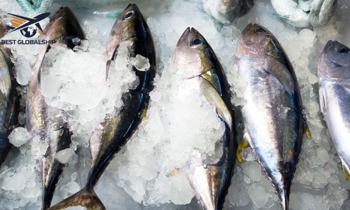 Những hàng hóa không được vận chuyển